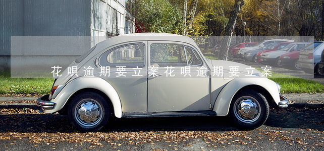 花唄逾期要立案（花唄逾期要立案）