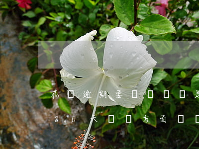 花唄逾期要簽違約單是怎么回事-花唄逾期80天,說單方面違約,要收回借款