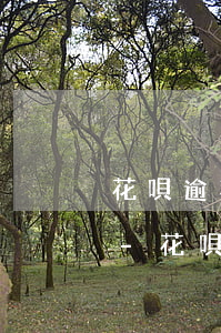 花唄逾期要給我發(fā)律師函該怎么辦-花唄逾期要給我發(fā)律師函該怎么辦呢