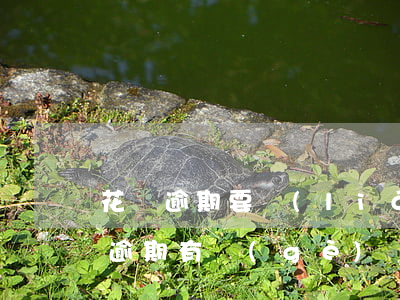花唄逾期要聯(lián)系親朋好友(花唄逾期有個(gè)電話說(shuō)今天不還聯(lián)系家里人)