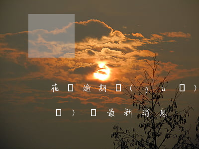花唄逾期 規(guī)則(花唄逾期 規(guī)則最新消息)