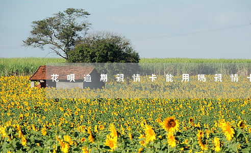 花唄逾期親情卡能用嗎(親情卡怎么還花唄)