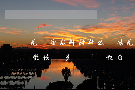 花唄逾期解封什么時候(花唄逾期封了要多久能恢復?多長時間能自動解封)