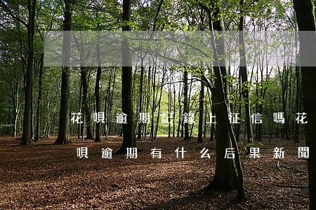 花唄逾期記錄上征信嗎(花唄逾期上征信嗎?花唄逾期有什么后果 新聞)