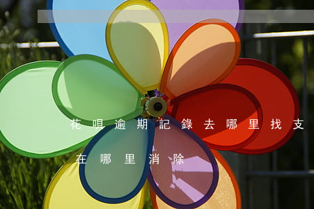 花唄逾期記錄去哪里找(支付寶花唄逾期記錄在哪里消除)