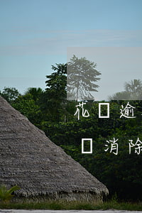 花唄逾期記錄多久恢復(fù)(花唄逾期記錄消除要多久才能恢復(fù)信用)
