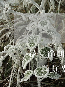 花唄逾期記錄如何修復(fù)(花唄逾期記錄消除要多久才能恢復(fù)信用)