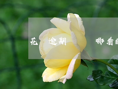花唄逾期記錄從哪看的
