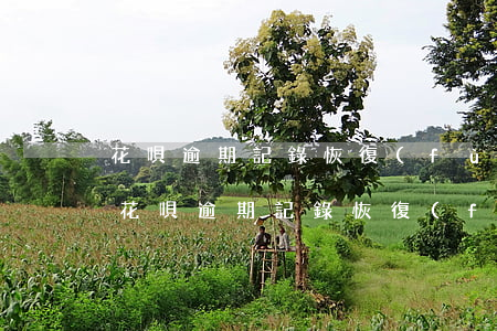花唄逾期記錄恢復(fù)了還有記錄嗎-花唄逾期記錄恢復(fù)了還有記錄嗎怎么辦