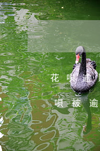 花唄逾期記錄支付寶注銷后還有嗎 支付寶花唄被逾期還完款后可以注銷嗎