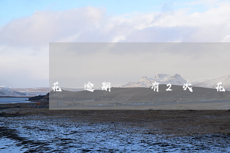 花唄逾期記錄有2次嗎(花唄逾期記錄有2次嗎)