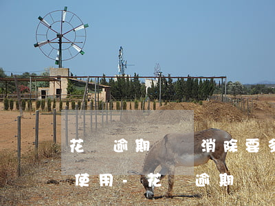 花唄逾期記錄消除要多久才能恢復(fù)使用-花唄逾期記錄消除要多久才能恢復(fù)使用花唄