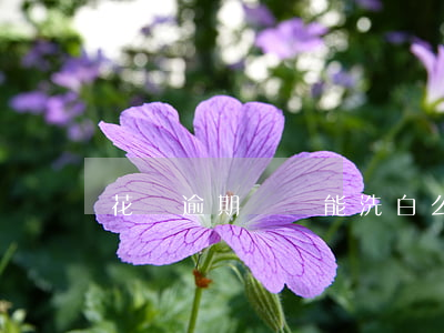 花唄逾期記錄能洗白么