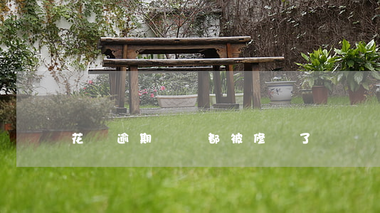 花唄逾期記錄都被修復了