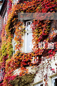 花唄逾期說(shuō)打電話(huà)起訴我是真的嗎-花唄逾期說(shuō)打電話(huà)起訴我是真的嗎嗎