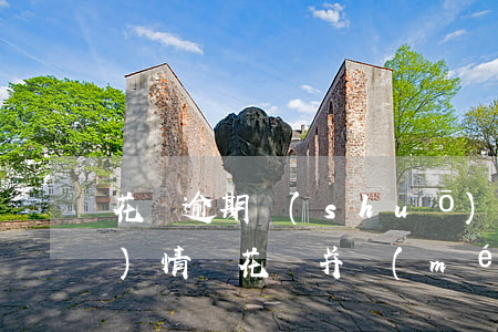 花唄逾期說(shuō)是要核實(shí)情況(花唄并沒(méi)有逾期怎么還是提示逾期了)