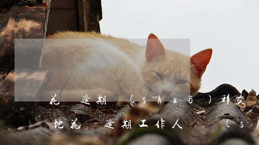 花唄逾期說(shuō)移交戶(hù)籍地(花唄逾期工作人員說(shuō)到戶(hù)籍所在地走訪)