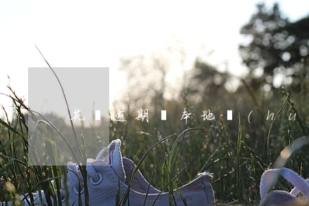 花唄逾期說本地會(huì)上門么