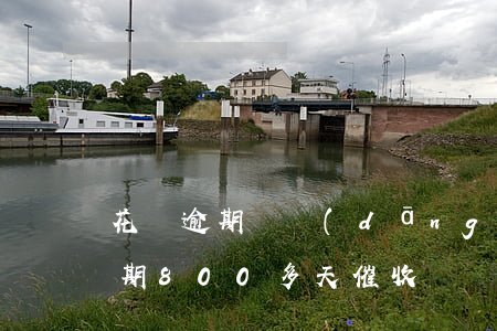 花唄逾期說當(dāng)天要上門(花唄逾期800多天催收來電話就是要上門)