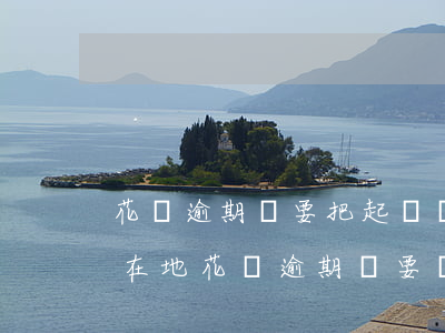 花唄逾期說要把起訴書發(fā)到戶籍所在地（花唄逾期說要準備材料起訴）