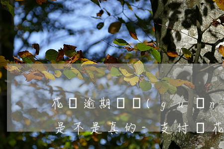 花唄逾期說關(guān)閉線上還款通道是不是真的-支付寶花唄逾期還款通道關(guān)閉
