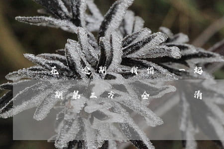 花唄逾期讓我借唄一起結清(花唄逾期結清逾期第三方讓全額結清)