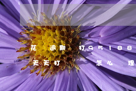 花唄逾期讓打95188(花唄逾期80多天天天打電話該怎么處理)