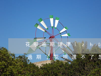 花唄逾期讓準(zhǔn)備身份證(身份證過期了花唄還不了怎么辦)