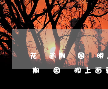 花唄逾期貧困證明上面要留電話嗎-花唄逾期貧困證明上面要留電話嗎是真的嗎
