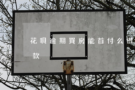 花唄逾期買房能首付么(借唄逾期以后買房貸款)
