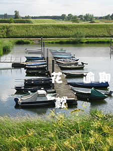 花唄逾期買車有沒有影響(花唄逾過期影響貸款買車嗎?)