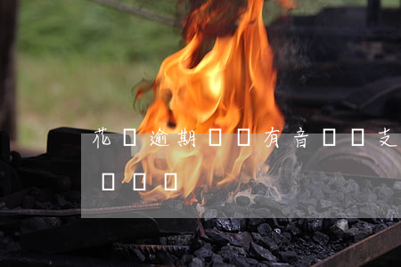 花唄逾期買車有音響沒(支付寶借唄逾期影響買車嗎?)