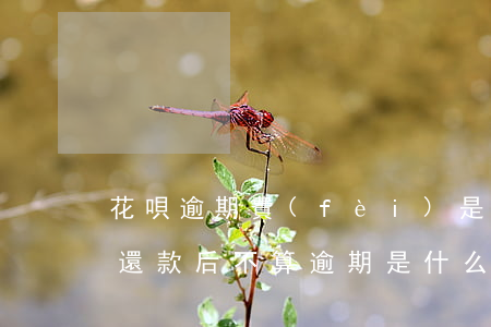 花唄逾期費(fèi)是什么情況(花唄逾期還款后不算逾期是什么意思?)