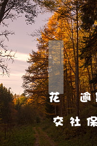 花唄逾期賣保險合法嗎(支付寶花唄逾期影響交社保嗎)