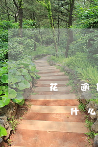 花唄逾期賬單18000(花唄逾期賬單還完,為什么還有催收電話)