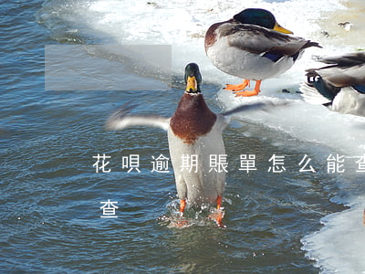 花唄逾期賬單怎么能查到(借唄逾期賬單怎么查)