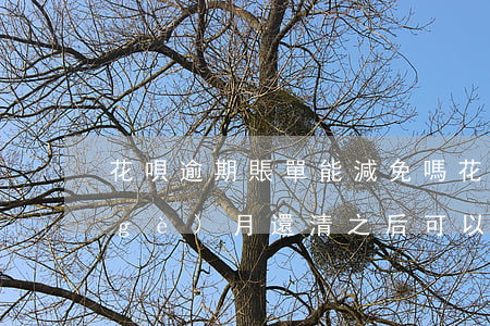 花唄逾期賬單能減免嗎(花唄賬單逾期五個(gè)月還清之后可以正常使用嗎)