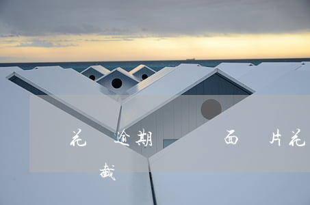 花唄逾期賬單頁面圖片(花唄還款1600賬單截圖)
