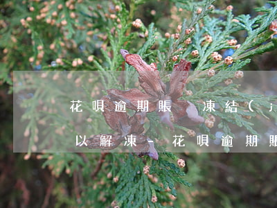 花唄逾期賬戶凍結(jié)怎么使用才可以解凍-花唄逾期賬戶凍結(jié)怎么使用才可以解凍呢