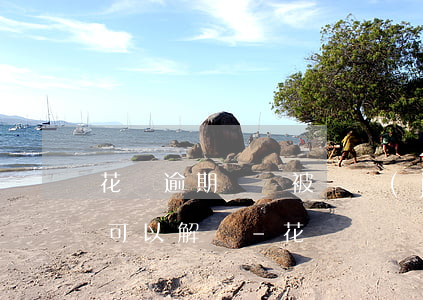 花唄逾期賬戶被凍結(jié)怎么使用才可以解凍-花唄凍結(jié)了,關(guān)閉再開就可以解凍?