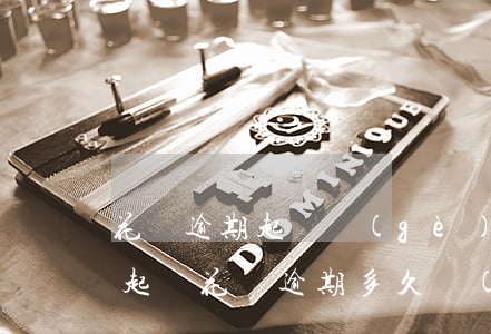 花唄逾期起幾個(gè)月會(huì)被起訴(花唄逾期多久會(huì)被起訴?花唄逾期多少錢會(huì)被起訴怎么辦)