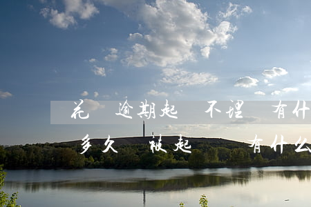花唄逾期起訴不理會有什么后果-花唄逾期多久會被起訴會有什么后果