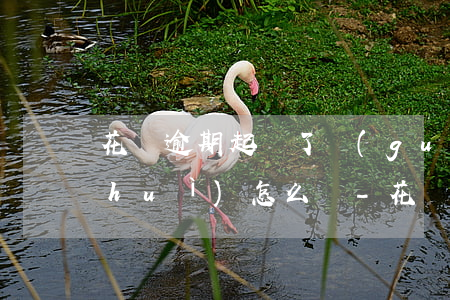 花唄逾期起訴了過(guò)幾天還了會(huì)怎么樣-花唄逾期起訴了過(guò)幾天還了會(huì)怎么樣嗎