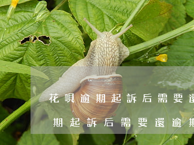 花唄逾期起訴后需要還逾期利息嗎-花唄逾期起訴后需要還逾期利息嗎怎么辦
