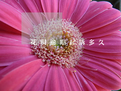 花唄逾期起訴多久