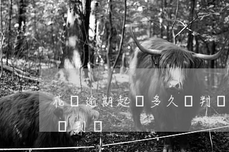 花唄逾期起訴多久會判決(花唄逾期起訴多久會判決)