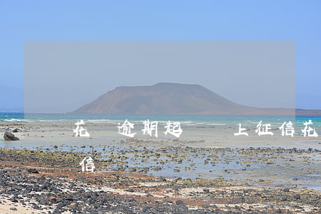 花唄逾期起訴會上征信 花唄逾期起訴會上征信