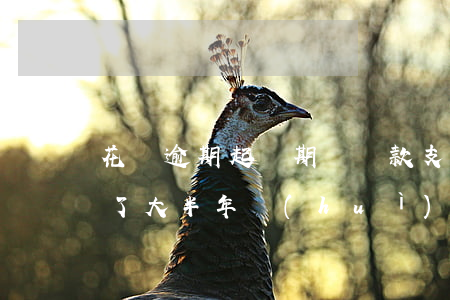 花唄逾期起訴期間還款(支付寶花唄借唄逾期了大半年會(huì)被起訴嗎)