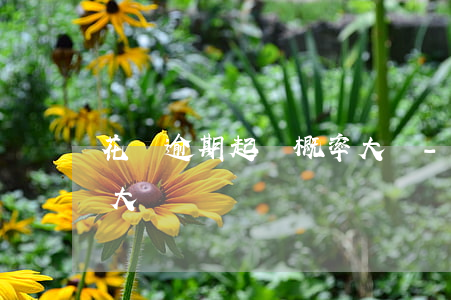 花唄逾期起訴概率大嗎-花唄逾期起訴概率大嗎