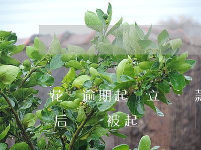 花唄逾期起訴立馬還款(花唄逾期要起訴,還清后還會被起訴嗎)